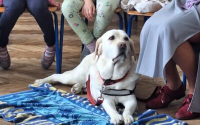 TERAPIJSKI PAS U NASTAVI