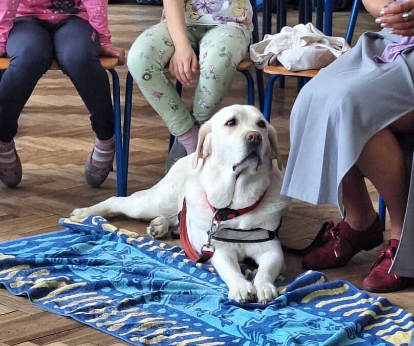 TERAPIJSKI PAS U NASTAVI